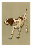 Pointer