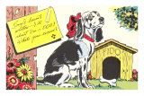 Sorry I Haven't Written Cartoon Spaniel