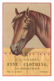 Advertisement with Horse