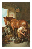 Farrier Shoeing Horse