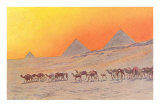 Pyramids, Camels, Egypt