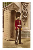 Guard at Buckingham Palace, London, England