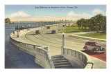 Bayshore Drive, Tampa, Florida