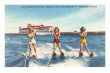 Water Skiers, St. Petersburg, Florida