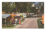 Buy Trailer Park, Florida at AllPosters.com