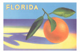 Buy Florida Orange at AllPosters.com