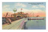 Pelican on Pier, St. Petersburg, Florida