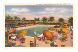 Buy Hotel Pool, Miami Beach, Florida at AllPosters.com