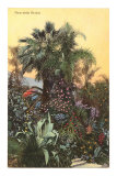 Flora of the Riviera, France