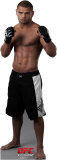 Thiago Alves