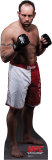 Buy Shane Carwin at AllPosters.com