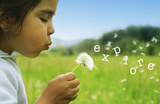 Buy Explore at AllPosters.com
