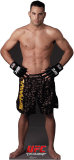 Mike Swick