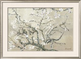 Buy Almond Branches in Bloom, San Remy, c.1890 (tan) at AllPosters.com