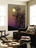 Buy A Full Moon Shines on Winters Leafless Branches at AllPosters.com