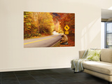 Buy Autumn Road with Bear at Deer Crossing Sign, Vermont, USA at AllPosters.com
