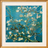 Almond Branches in Bloom, San Remy, c.1890
