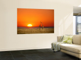 Giraffes Stretch their Necks at Sunset, Ethosha National Park, Namibia