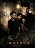 Twilight - New Moon