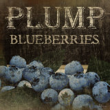 Buy Plump Blueberries at AllPosters.com