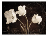 Garden Love Letter II