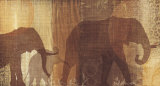 Safari Silhouette IV