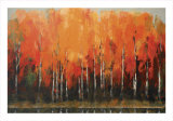 Birch Shoreline