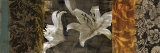 Evanescent II