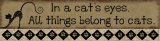 In A Cat's Eyes