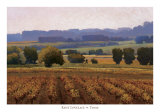 Terroir