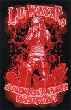 Buy Lil Wayne at AllPosters.com