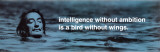 Salvador Dali - Intelligence Poster