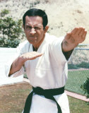 Don Adams