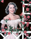 Buy Janet Leigh at AllPosters.com