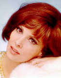 Buy Gina Lollobrigida at AllPosters.com