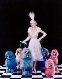 Buy Doris Day at AllPosters.com