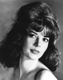Buy Natalie Wood at AllPosters.com