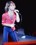 Buy The Bee Gees at AllPosters.com
