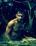 Buy William Holden at AllPosters.com