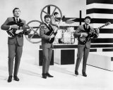 The Animals