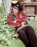 The Virginian