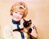 Buy Hayley Mills at AllPosters.com