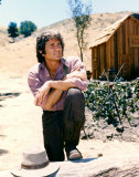 Michael Landon