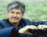 Buy Charles Bronson at AllPosters.com