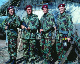 The Wild Geese