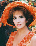 Buy Gina Lollobrigida at AllPosters.com