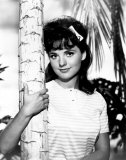 Dawn Wells