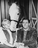 Mr. Ed