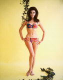 Linda Harrison