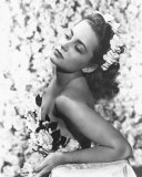 Olivia de Havilland